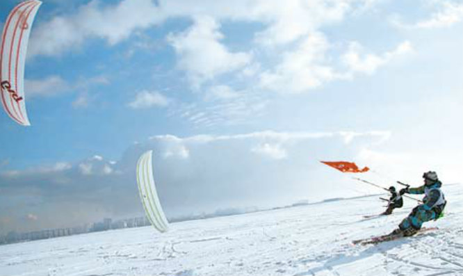 Чемпион и наставник