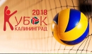 Команды к турниру готовы Команды к турниру готовы